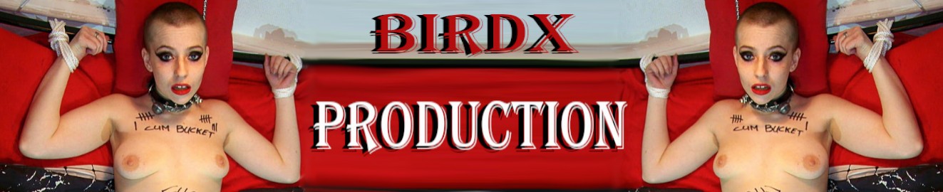 BirdX Production