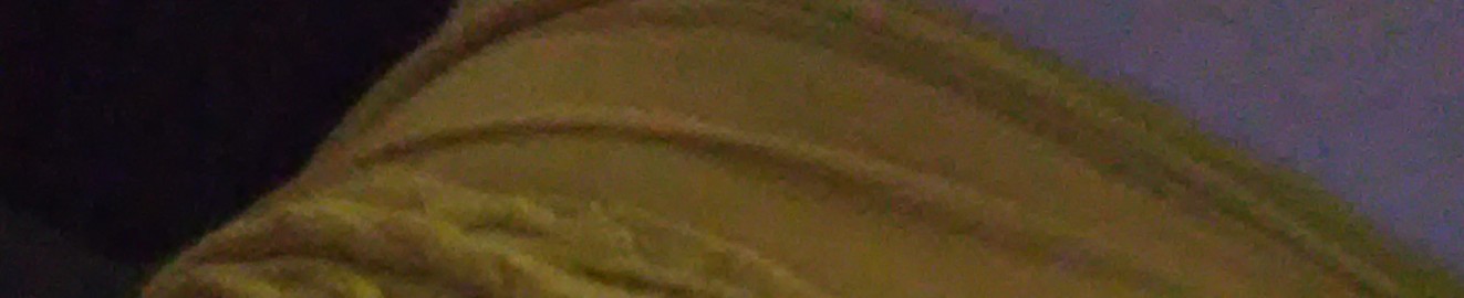Raylyn69