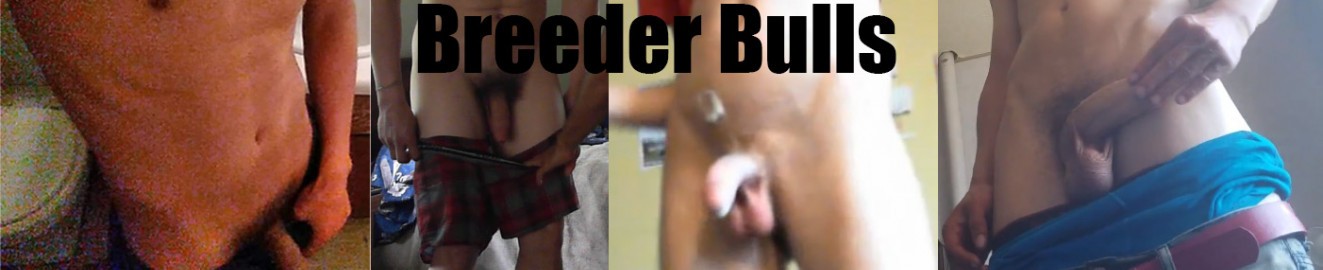 Breeder Bulls