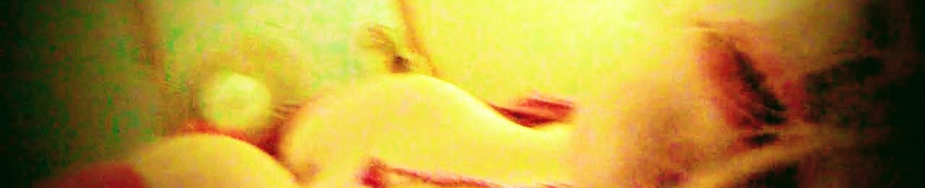 AmbertheGreat