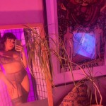 genevievewillow