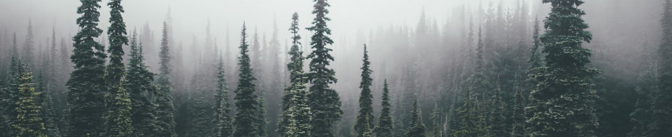 woodlifesex