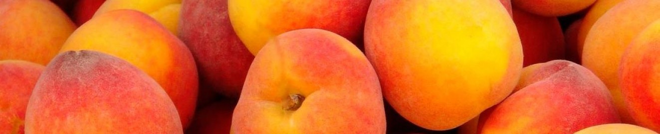 LatinPeaches