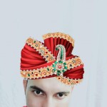 Punjabi couple videos