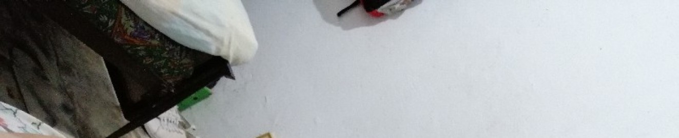 Flacopajiso