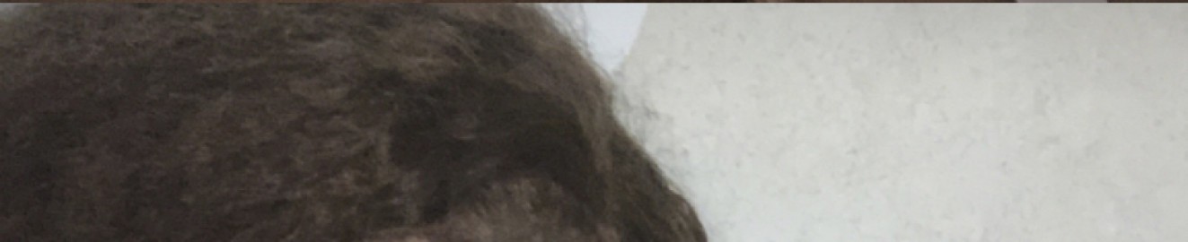 Bigtittybbw400
