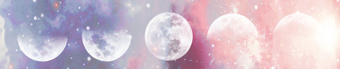 Destiny Bloom