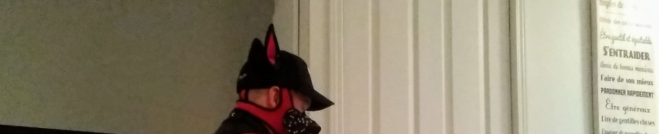 TazPongo