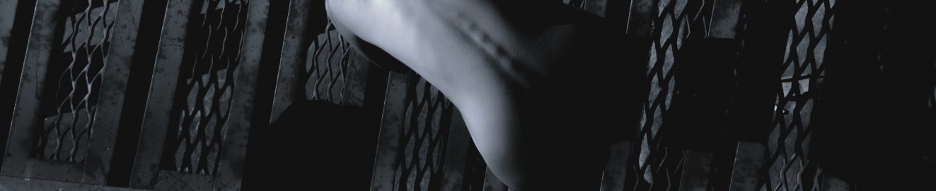 toto_studio