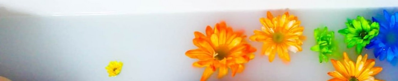 Darkrosexx95