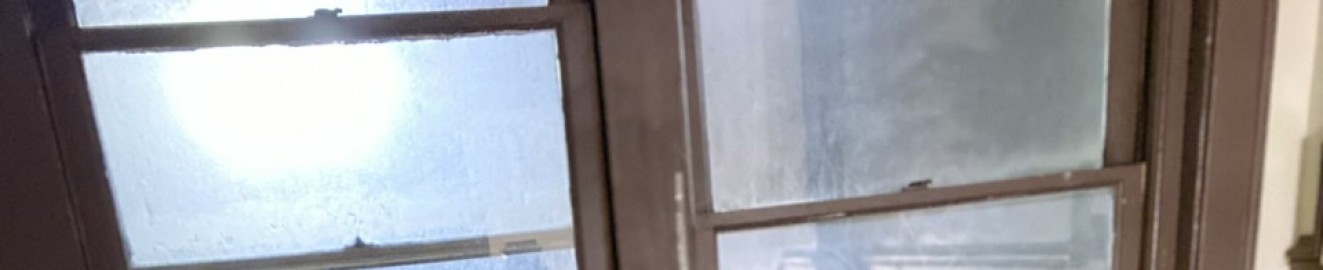 HazelnutDreams
