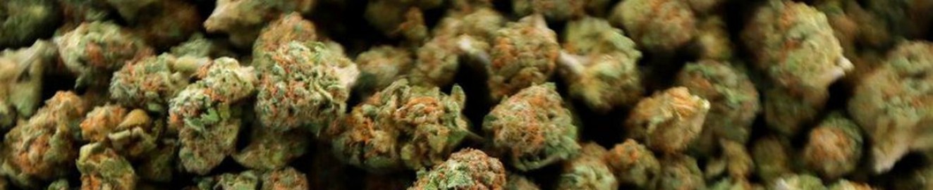 melanatedpothead