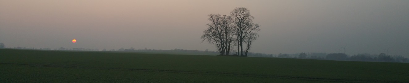 montemonty