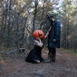 صورة المستخدم الرمزية