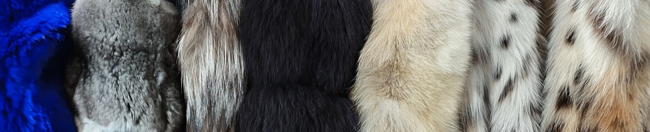 LoverOfFurCoats