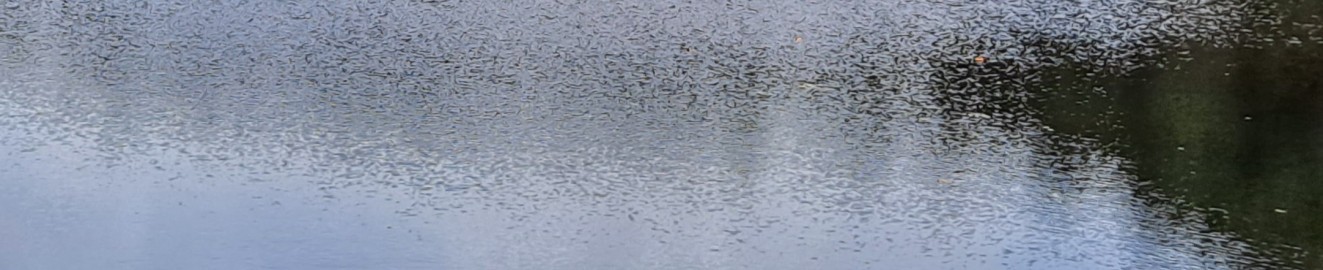 RiverArgent