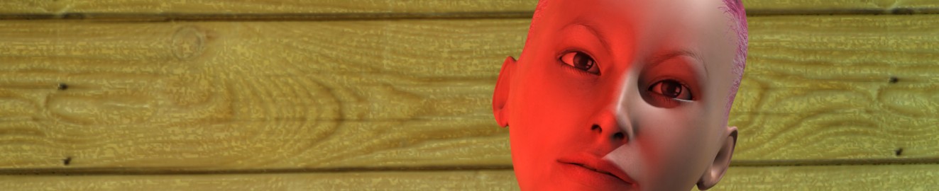 animatormachine