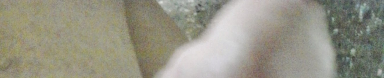 Felipepornxxx