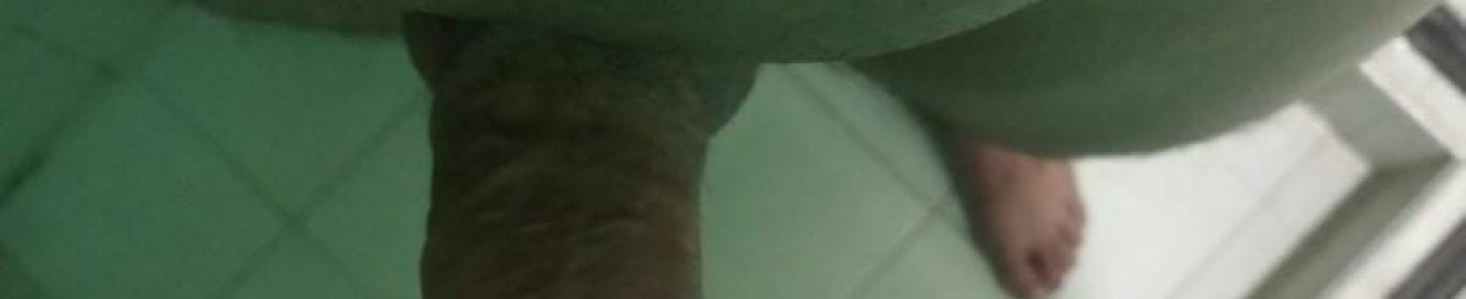 Ruin caliente69