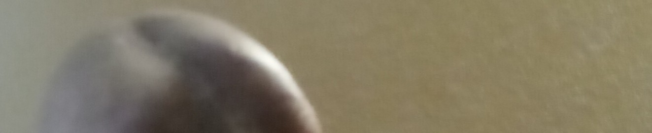DikKing666