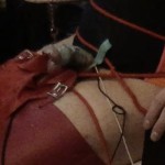 Avatar del Usuario