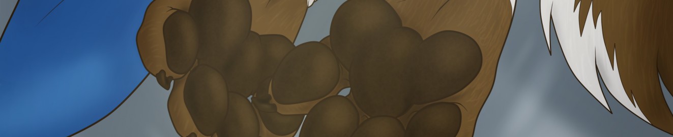 SoftSolesBay