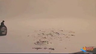 Chocolate and Cream Food Fetish