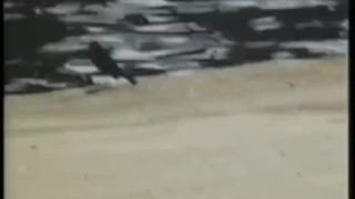 Black Magic White Heat Part 2