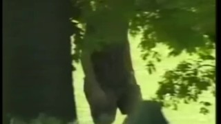 Hungarian College Jocks - Scene 1