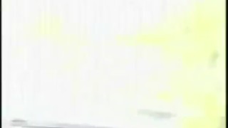 Tales Of The Forest - Scene 1