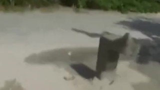 Twisted Thugs 04 - Scene 2