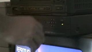 This Bear Likes Em Black Part 1