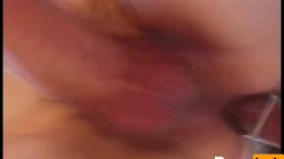 Young Tender Trannies 16 - Scene 2