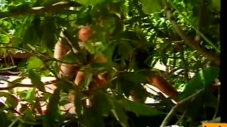 Dark Meat Bitches 03 - Scene 18