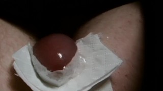 Cumshot in toilet tissue