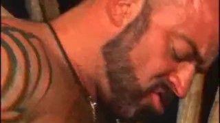 American Bears - Scene 2