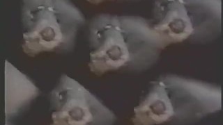 Kiss Today Goodbye - Scene 4