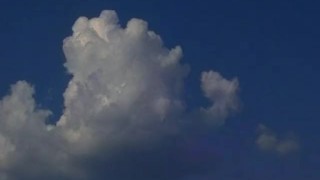 Cousin Buck - Scene 1