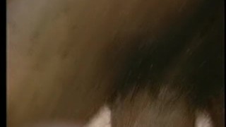 Tour De Trans - Scene 4