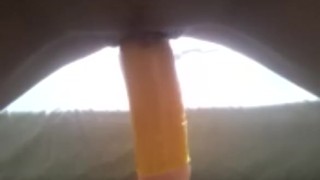 Adams cock