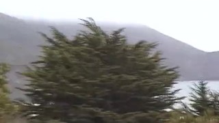 Wood and Cum in the Wild Double Feature - Scene 1