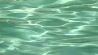 Black Threesome Outdoors