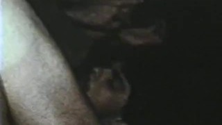 Gay Peepshow Loops 333 70's and 80's - Scene 3