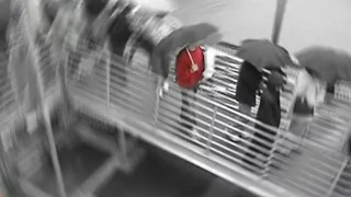 New Orleans Cum - Scene 1