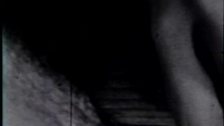 Lesbian Peepshow Loops 24 50s to 70s - Scene 4