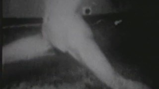 Classic Stags 159 20s to 50s - Scene 3