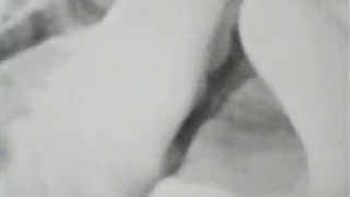 Classic Stags 286 1960s - Scene 4