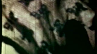 European Peepshow Loops 200 1970s - Scene 4