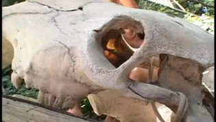 Bikini Butt Babes #3, Scene 1