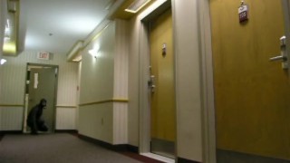 horny frogman sneaks into hotel and breaks into a hotel room